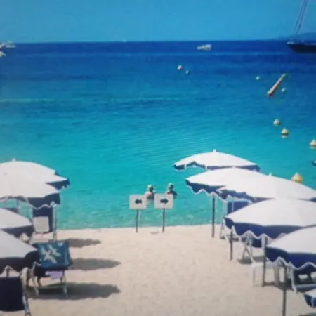 Lecerf Appartement Cannes