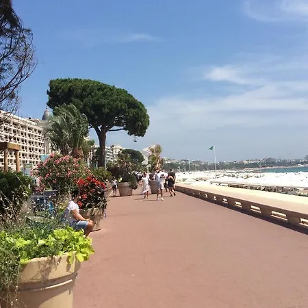 Lecerf Cannes