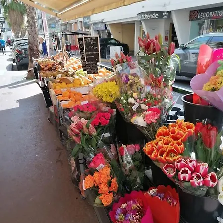 Appartement Lecerf *