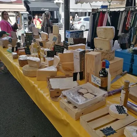 Lecerf Appartement Cannes